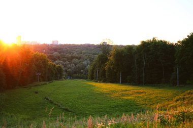 Gün batımında yeşil alan Holosiv Ormanı