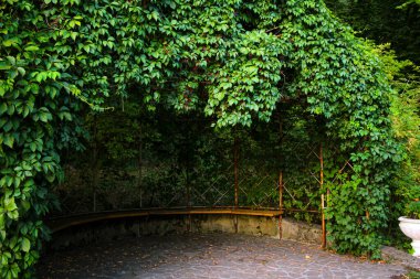 Park çardağı yeşil sarmaşıyla kaplanmış. Kemerli girişi ve kapısı olan bahçe ve yazın parkta metal bir bank.
