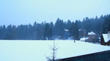 Köyden gelen kar yağışı sırasında ormanın manzarası. Karlı bir günde çam ağacı ormanı. Ormanda kar yağıyor. Güzel manzaralı kırsal alan ve kış mevsiminde ulaşım. Karlı Karpat ormanlarında kar yağar