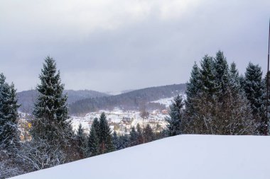 Soğuk bir kış gününde ağaçlarla kaplı karlı bir orman.