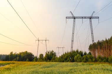 Gün batımında elektrik hatları