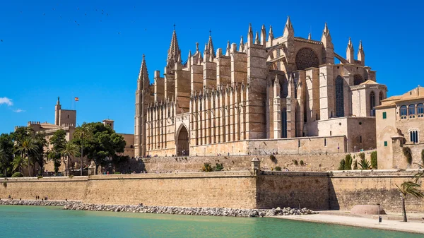 La Seu katedrálist, Palma de Mallorca, Baleári-szigetek — Stock Fotó