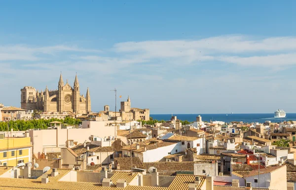 Vue d'ensemble de la cathédrale principale et des toits du quartier central de Palm — Photo