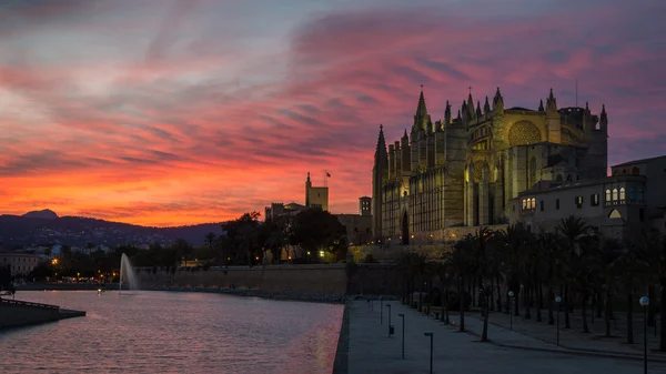 Belangrijkste catherdal van Palma de Mallorca in de schemering — Stockfoto