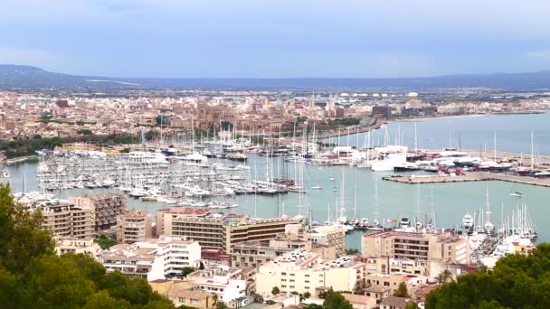 Vista de Palma de Mallorca — Vídeo de stock