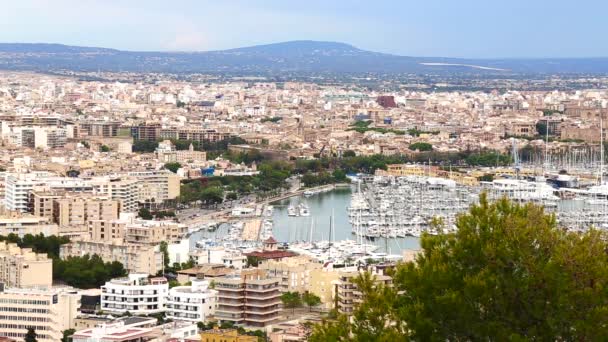 Vista de Palma de Mallorca — Vídeos de Stock