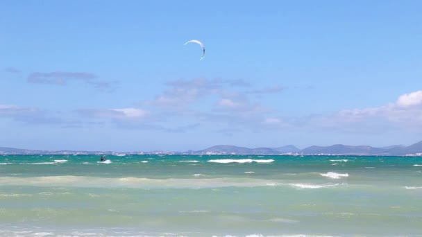 Kitesurfer im Meer — Stockvideo