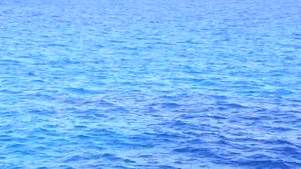 Wellen am Meer — Stockvideo