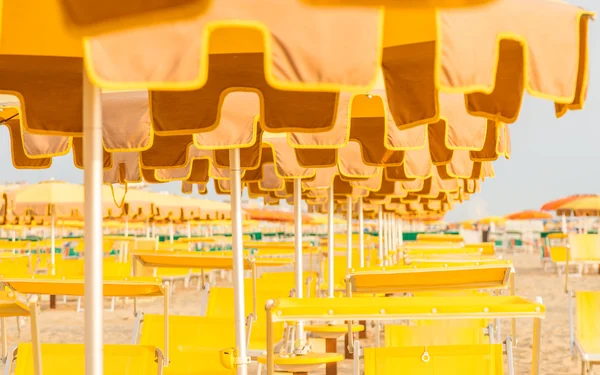 Chaise longues y sombrillas en una playa —  Fotos de Stock