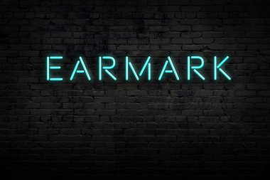 Üzerine yazı işaretiyle birlikte tuğla duvardaki neon tabelanın gece görüşü