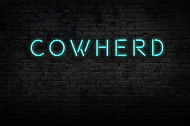 Neon işareti. Kelime tuğla duvara karşı işlenmiş. Gece görünümü