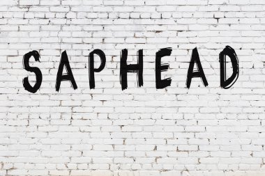 Beyaz tuğla duvara yazı sapı