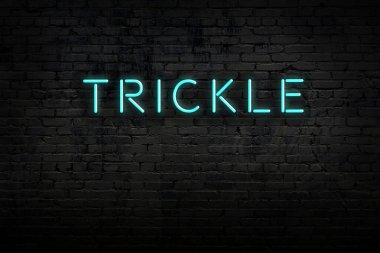 Üzerinde yazı olan tuğla duvardaki neon ışıklarının gece görüşü