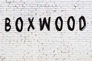 Yazı kutusu beyaz tuğla duvara boyanmış.