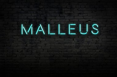 Duvardaki yazıtlı neon levhanın gece görüşü