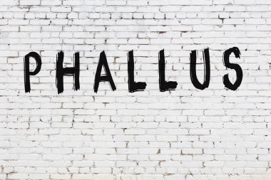 Beyaz tuğla duvara yazılı fallus.