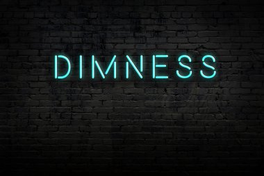 Tuğla duvardaki neon levhanın gece görüşü yazım karartıcılığıyla