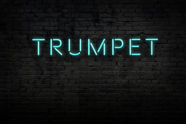 Neon işareti. Duvara karşı trompet sesi. Gece görünümü