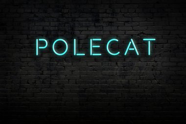 Tuğla duvarda üzerinde yazı olan neon tabelanın gece görüşü