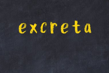 Üzerinde yazı tahtasının olduğu siyah karatahta