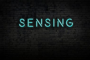 Neon işareti. Kelime tuğla duvara karşı algılama. Gece görünümü