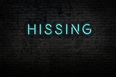 Neon işareti. Kelime tuğla duvara karşı tıslıyor. Gece görünümü