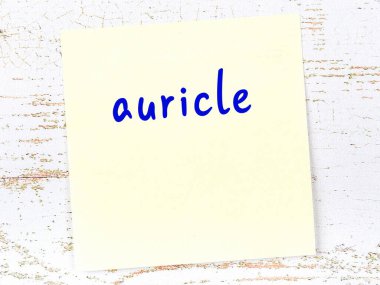 Tahta duvardaki sarı yapışkan notta el yazısıyla yazılmış auricle.
