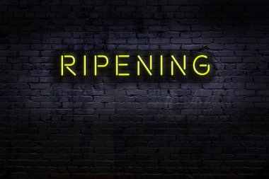 Geceleri duvarda neon levhası var. Yazı olgunlaştırılıyor