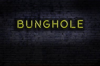 Geceleri duvarda neon levhası var. Yazı kıç deliği