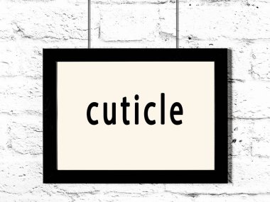 Beyaz tuğla duvara kazınmış siyah tahta çerçeve. 