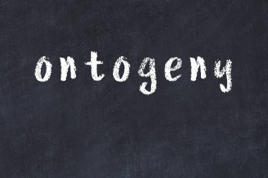 Siyah masadaki tebeşir el yazısıyla yazılmış yazı.