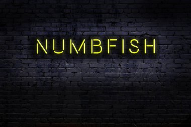 Geceleri duvarda neon levhası var. Yazıt uyuşmuş balık.