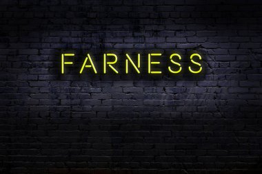 Duvara yazı yazılan neon tabela. Gece görünümü