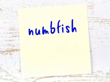 Tahta duvardaki sarı yapışkan notta el yazısıyla yazılmış uyuşuk balık.