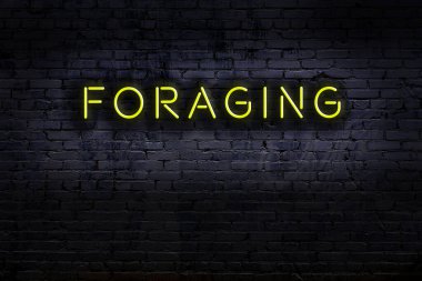 Geceleri duvarda neon levhası var. Yazıt arayışı