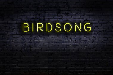 Geceleri duvarda neon levhası var. Yazıt kuş ötüşü