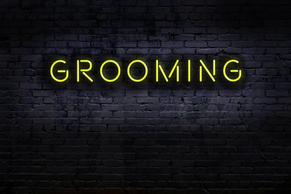 Neon Skylt Med Inskription Grooming Mot Tegelvägg Nattutsikt — Stockfoto