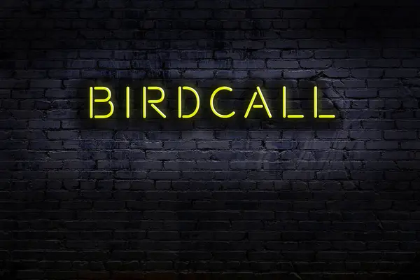 Neon sign on brick wall at night. Inscription birdcall