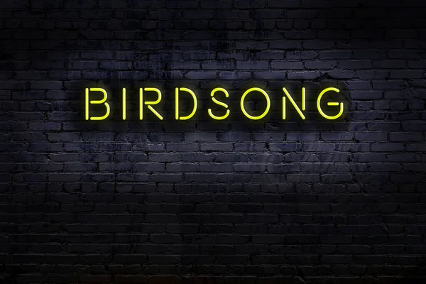 Geceleri duvarda neon levhası var. Yazıt kuş ötüşü