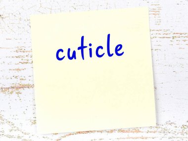 Tırnak eti hakkında hatırlatma kavramı. Tahta duvarda üzerinde yazı olan sarı yapışkan kağıt.