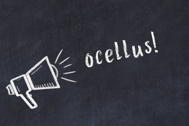 Hoparlör ve yazıt ocellus çizimli siyah karatahta