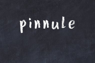 Tebeşir elle yazılmış yazıtlar siyah masanın üzerinde.