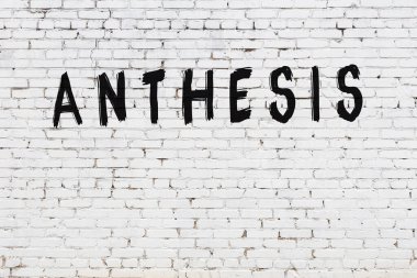 Beyaz tuğlalı duvara siyah boya ile yazılmış yazıt antezi.