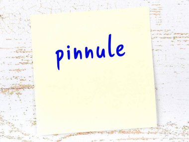 Ahşap duvarda el yazısıyla yazılmış küçük harfli sarı yapışkan bir not.