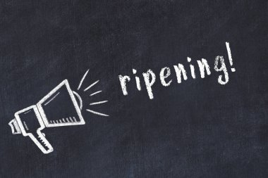 Üzerinde hoparlör çizimi ve olgunlaşan yazı olan siyah karatahta.