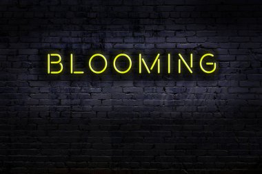 Geceleri duvarda neon levhası var. Yazı çiçek açıyor
