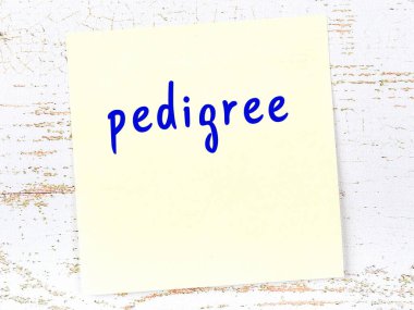 Tahta duvarda el yazısıyla yazılmış sarı yapışkan bir not var.