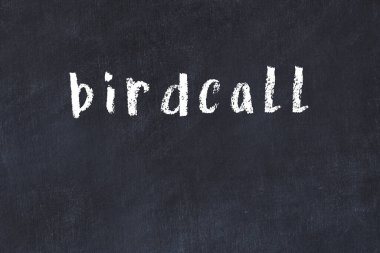 Tebeşir el yazısıyla yazılmış kuş sesi siyah masada.