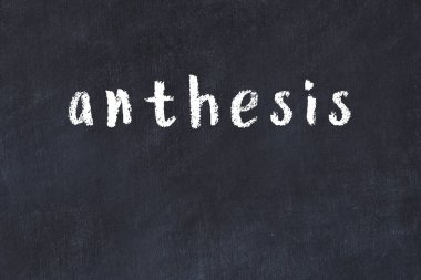 Tebeşir el yazısıyla yazılmış yazı antezi siyah masada.