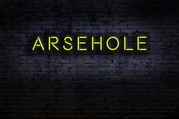 Neon Sign Brick Wall Night Inscription Arsehole — Stock Fotó